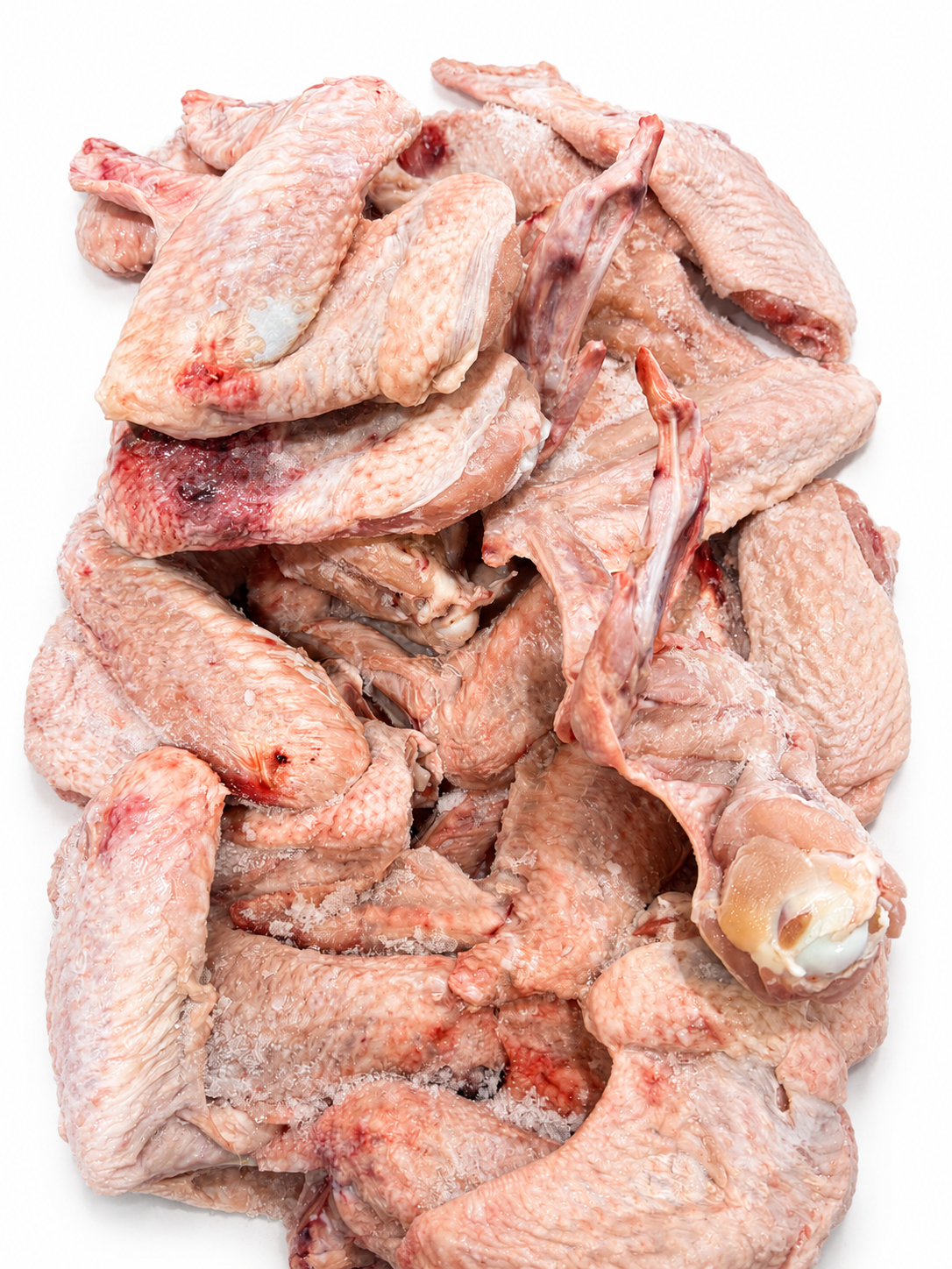 Fresh Frozen Turkey wings