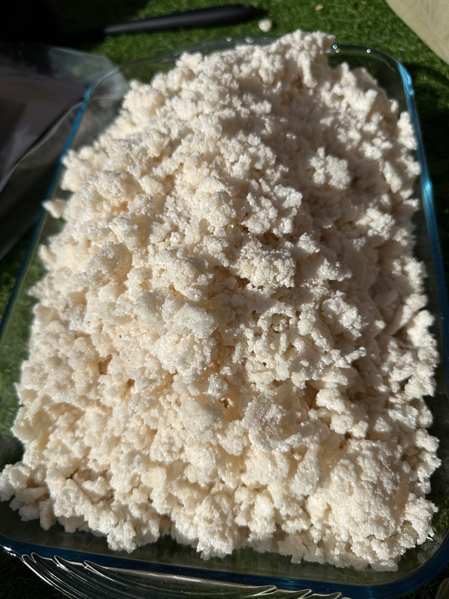 Tapioca