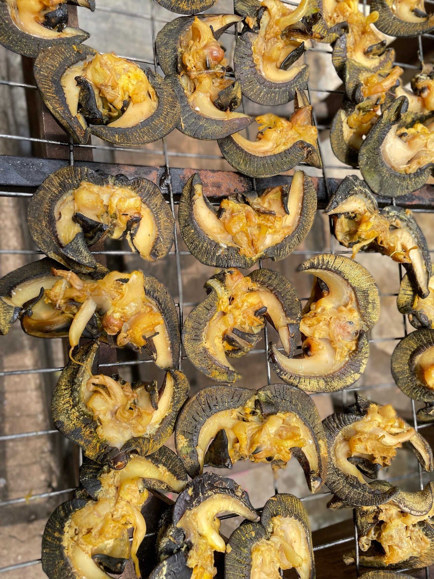 Buy Nutritious Nigerian Dried Washed Snail in the UK