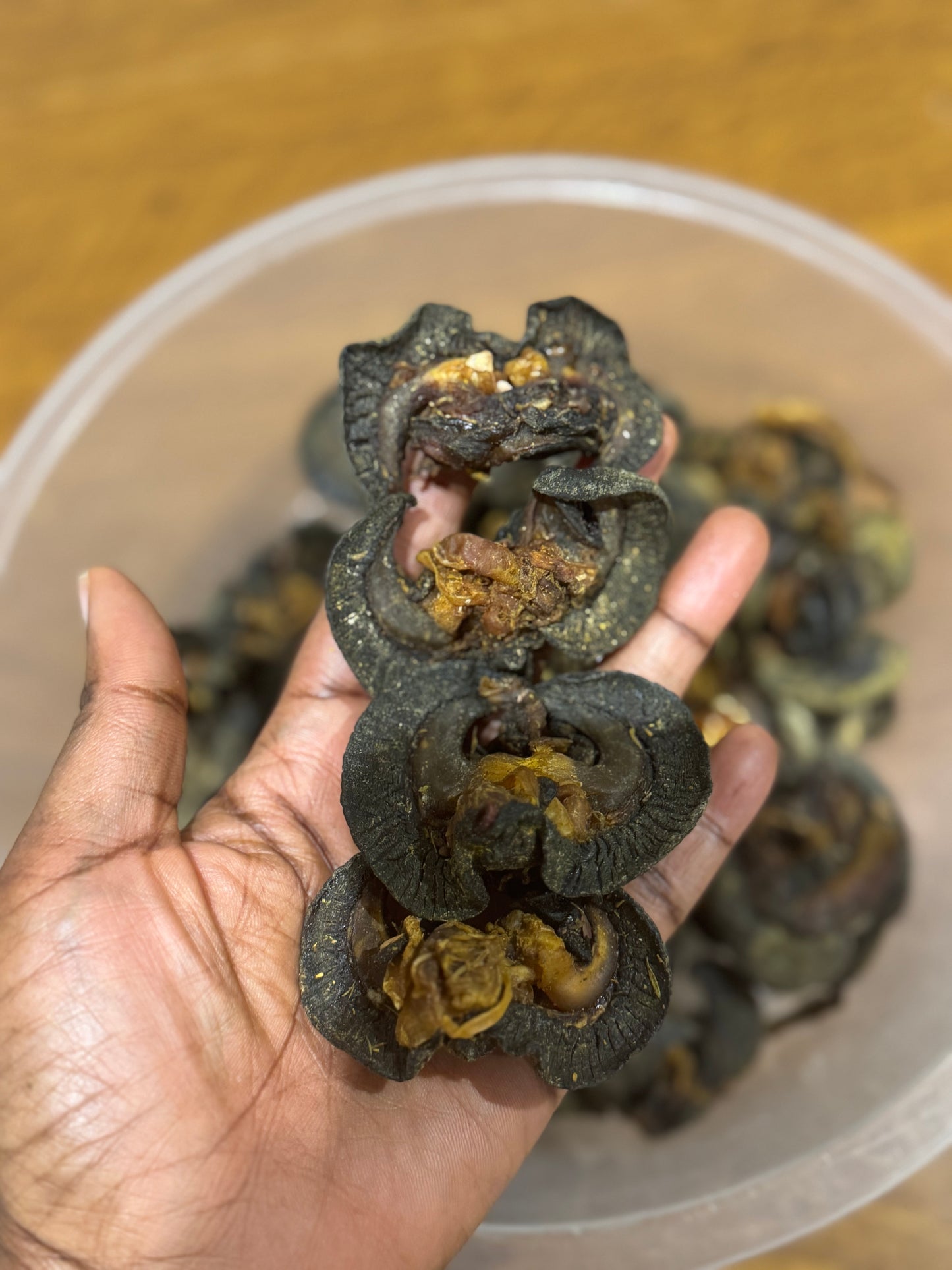 A clear plastic container filled with dried washed snails, with a person's hand reaching in to pick up a snail.
