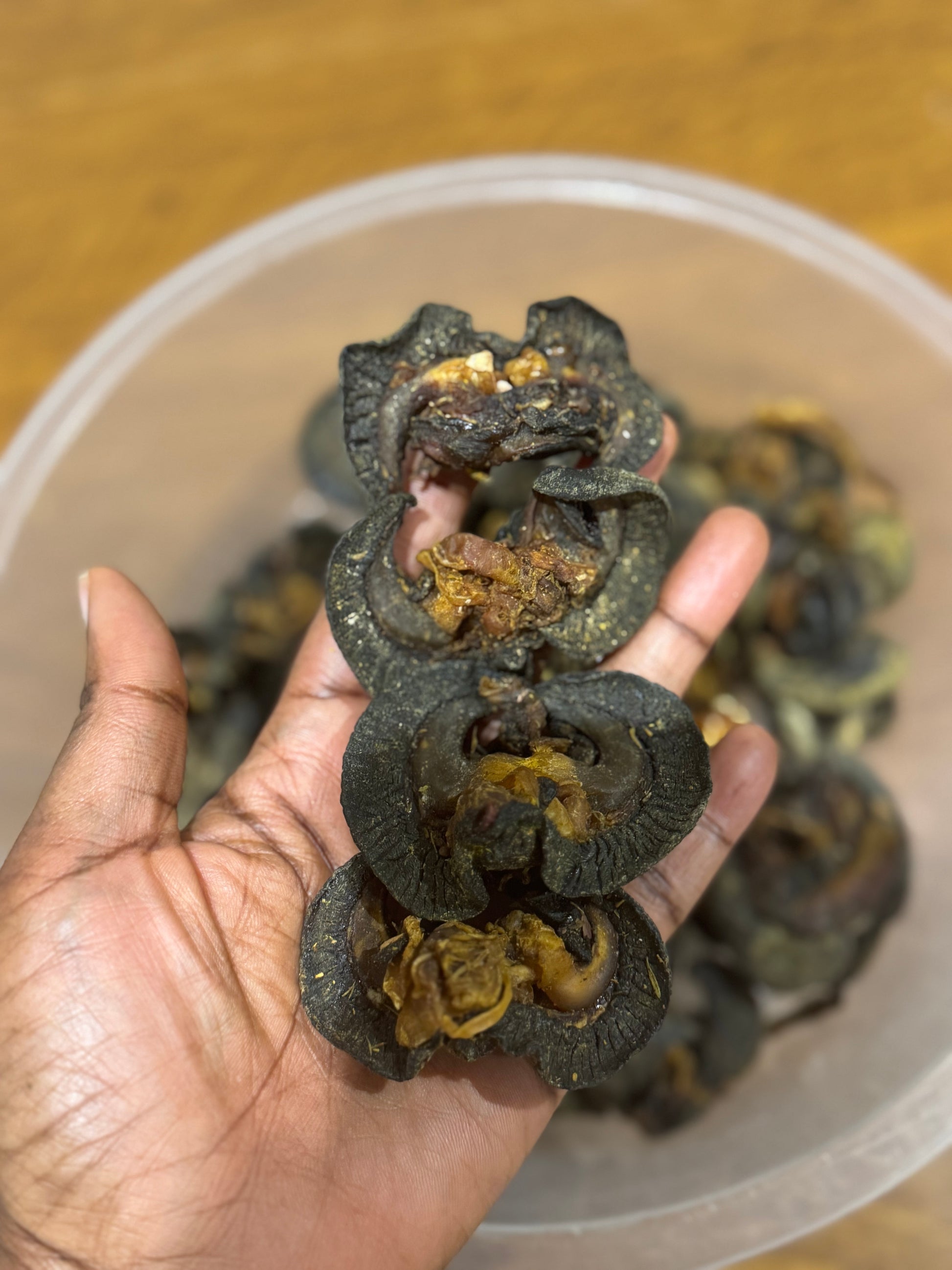 A clear plastic container filled with dried washed snails, with a person's hand reaching in to pick up a snail.