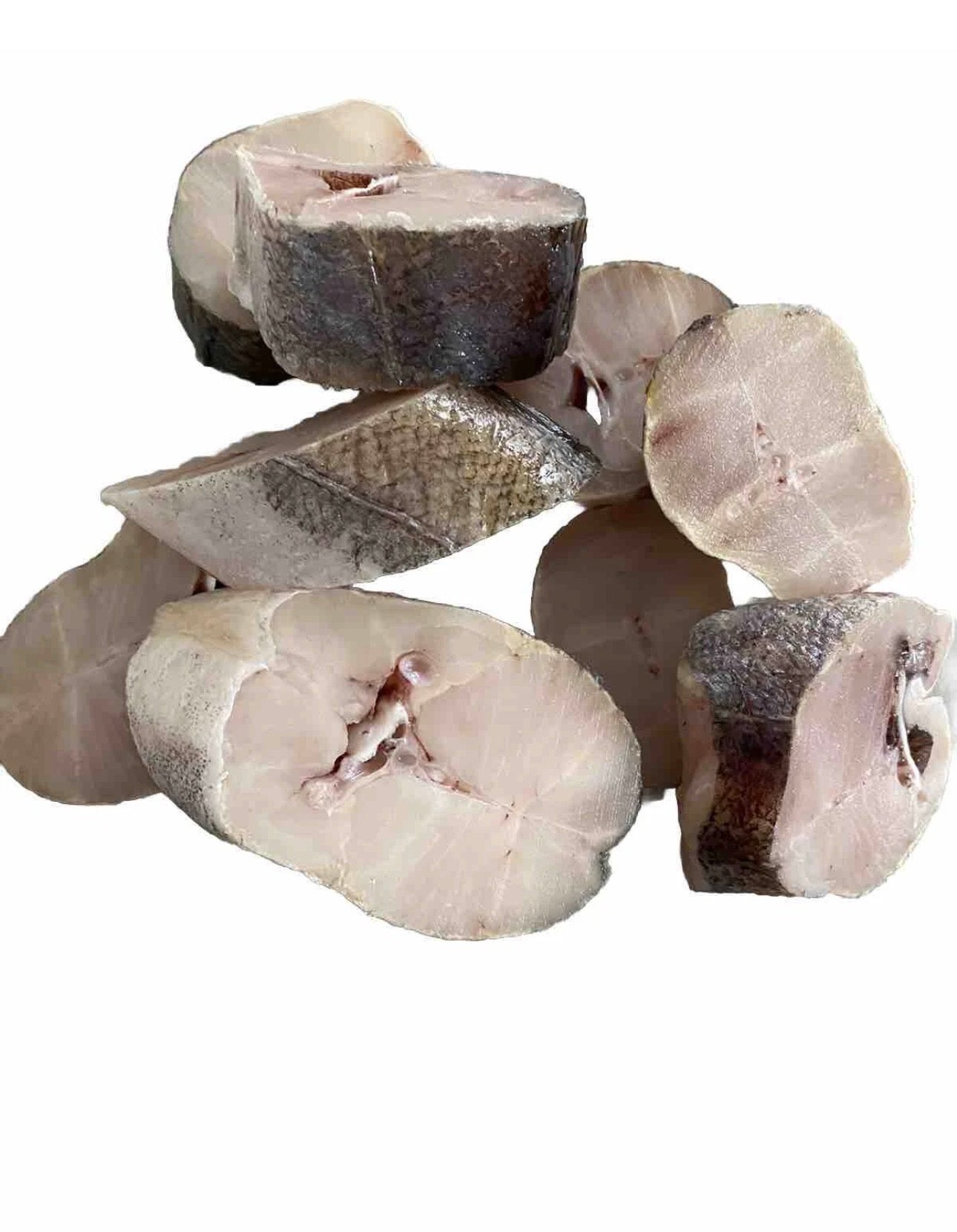Premium frozen Hake fish (headless)