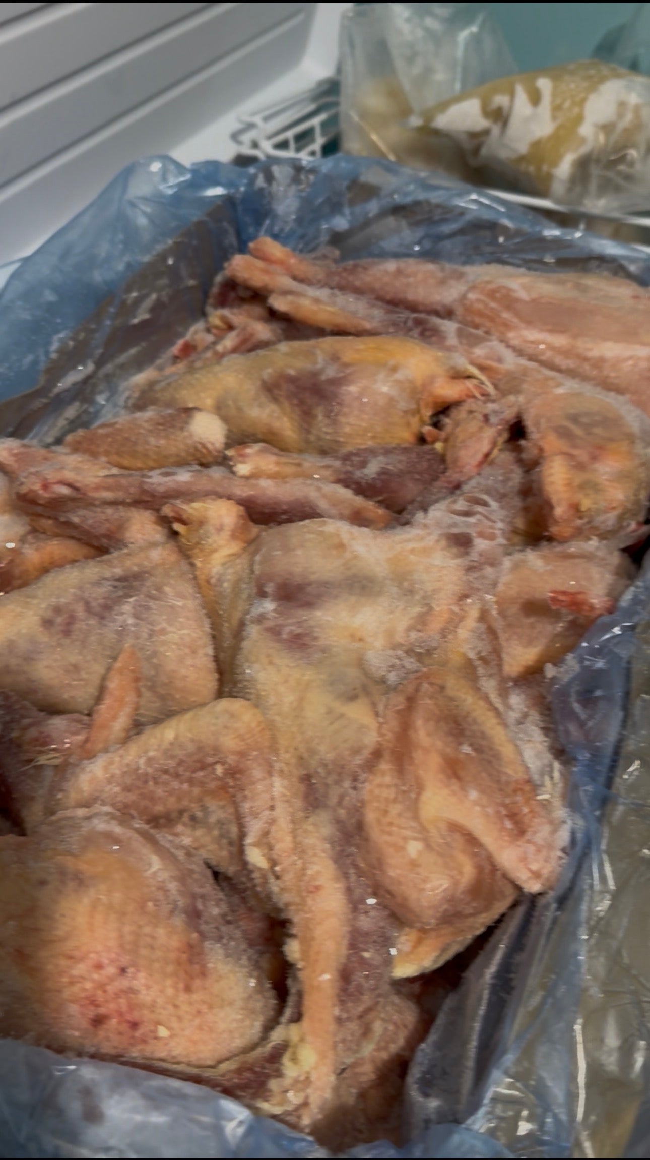 Whole Hard Chicken