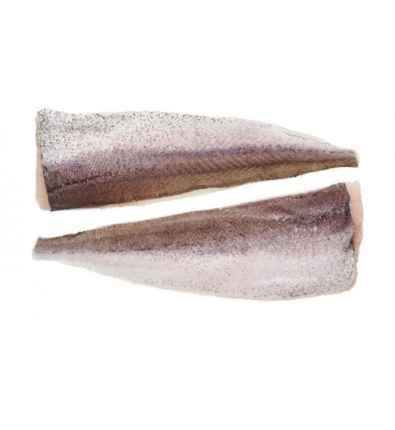 Premium frozen Hake fish (headless)