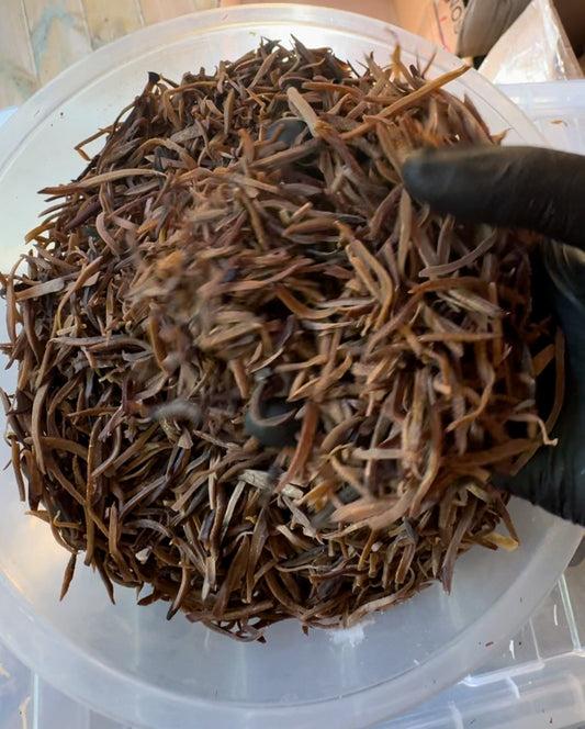 Dried Ugba/Oil bean seeds