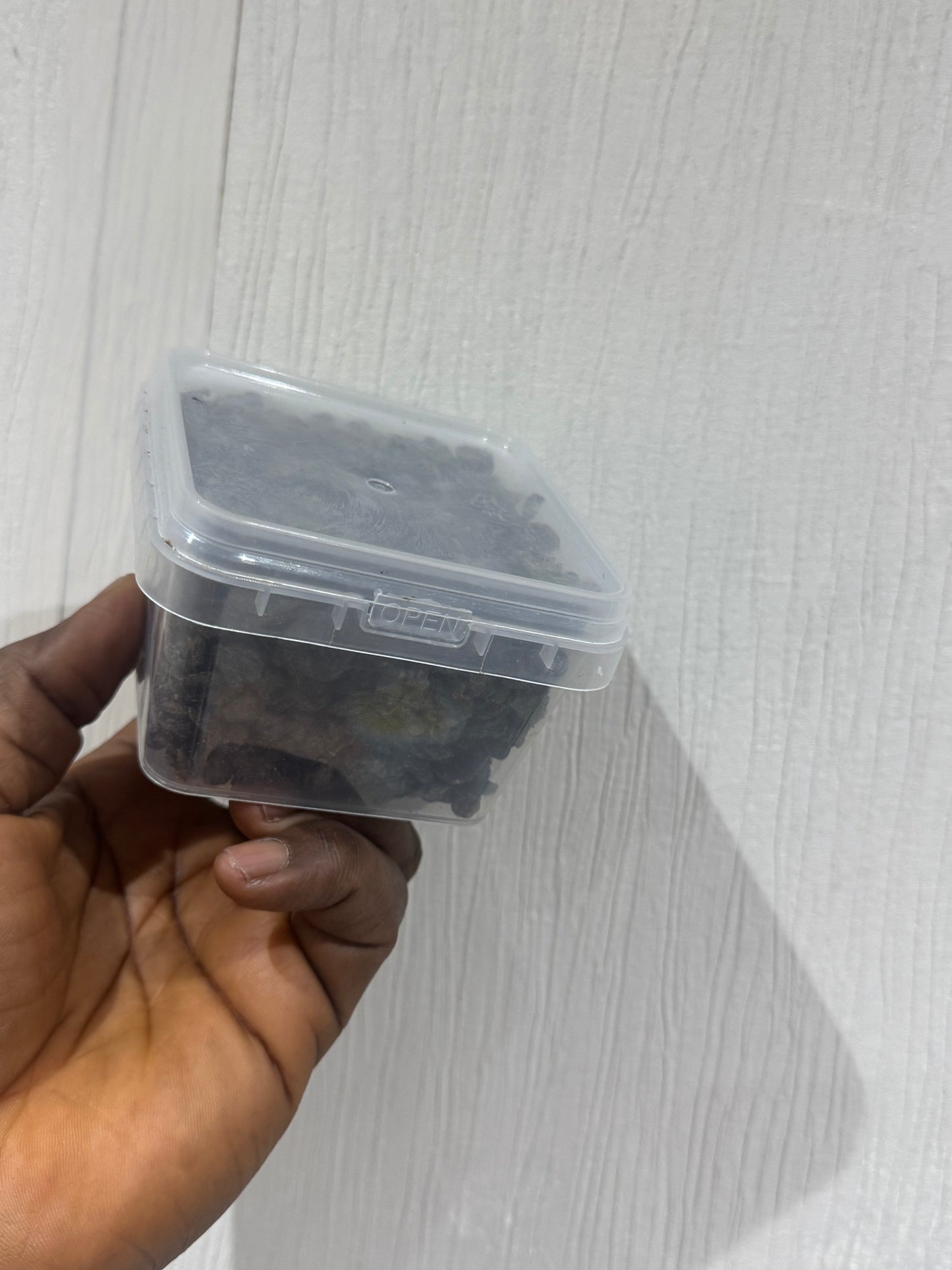 Dried Locust beans / Iru