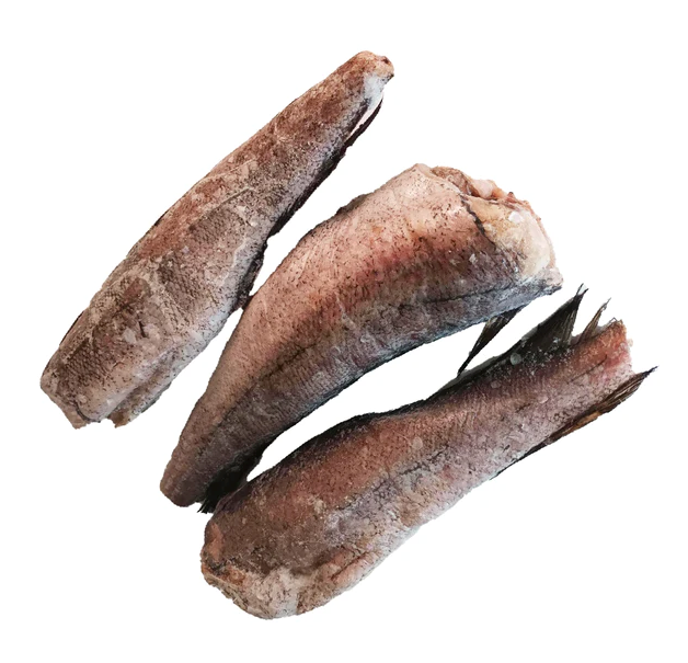 Premium frozen Hake fish (headless)