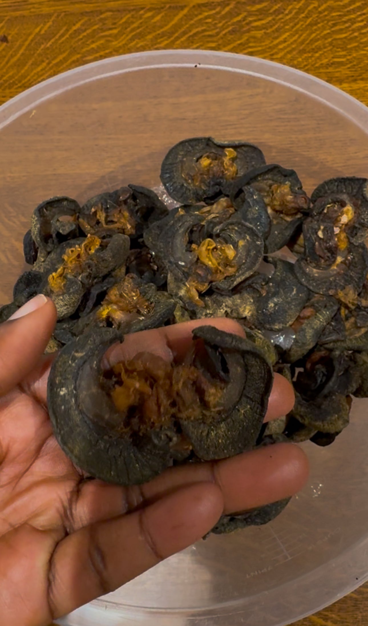 Shop Dried Washed Snail Online in the UK